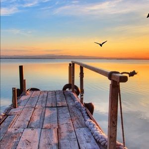 Meet your Posher, Kinsley